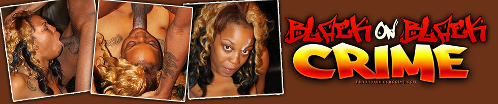 Black On Black Crime Kitty